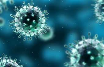 virus-gripa